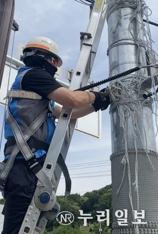 남양주시 청년 봉사회 와피, 도시 미관 개선을 위한 봉사 활동 펼쳐