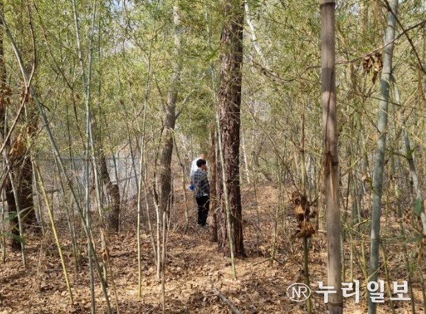 야생동물 밀렵·밀거래 집중단속