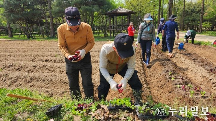 ‘우리들의 힐링텃밭’ 프로그램 운영
