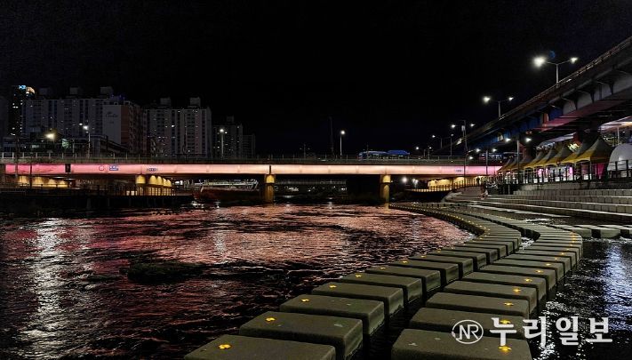 대구시 신천에 비치는 별빛 칠성교, 도달쑤와 함께