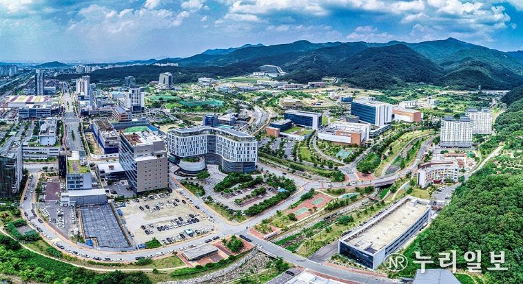 대구시, 2025년 경영 ‘성장’과‘내실’집중