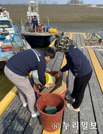 충남도, 실뱀장어 불법어업 특별단속 실시