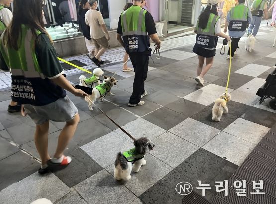 “산책하면서 우리 동네 안전도 지켜요” 제주도, 반려견과 함께 ‘댕댕이 안전지킴이’ 참가자 200팀 모집