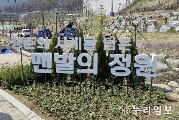 현재 조성 공사 중인 성남 대장지구 흙길 내 '맨발의 정원'