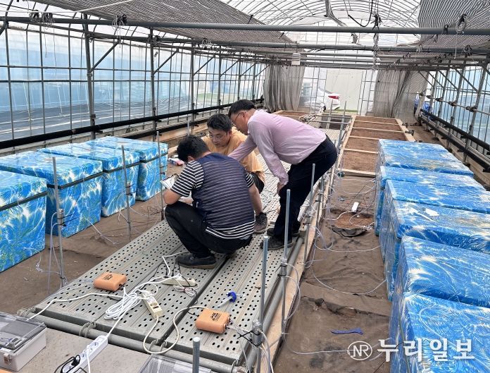 바이오차 기반 연구