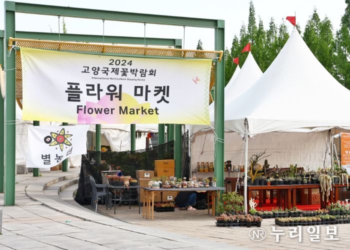 2024 고양 플라워 마켓