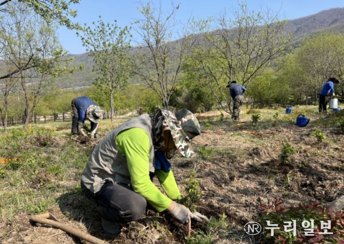 보존원 나무 식재