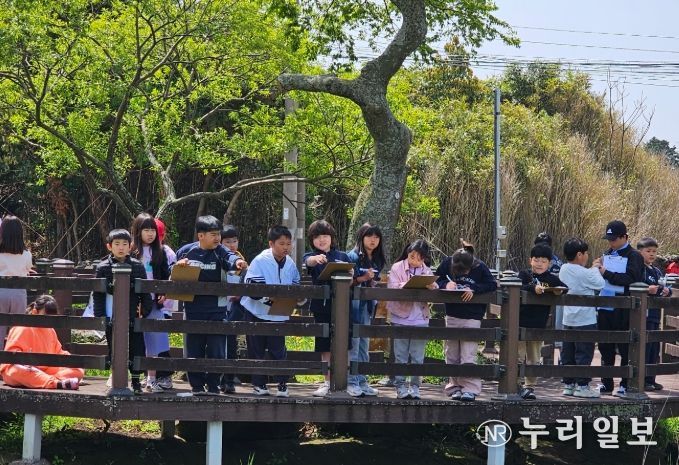 습지 및 해양 생태 환경 체험 활동