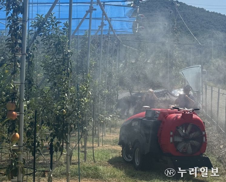 복숭아 농사도 스마트하게 짓는다!