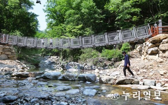 농원계 출렁다리