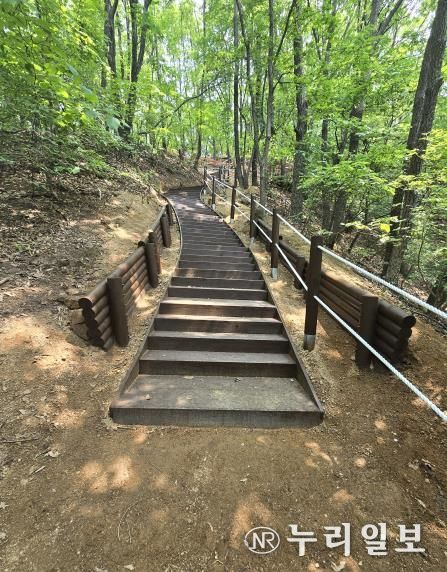 대지산 등산로에 설치된 목계단과 안전로프