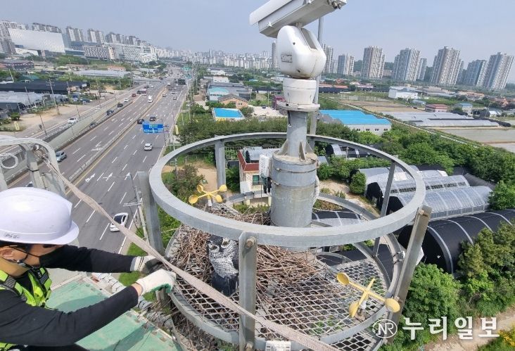 지능형교통체계(ITS) 현장 시설물 까치집 제거 모습
