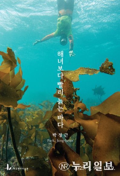 해녀보다 빨리 늙는 바다