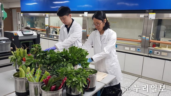 대전시, 여름철 농산물 잔류농약 검사 결과 발표