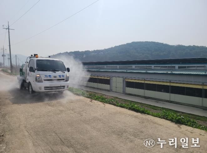 광주광역시, 10월부터 AI 특별방역대책 시행