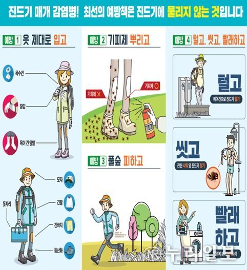 광주광역시, 쯔쯔가무시증 10∼11월 80% 발생…야외활동 주의