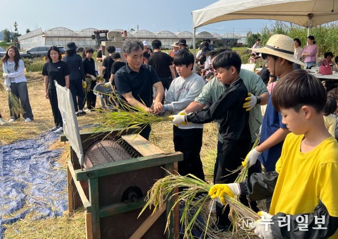 2025 신평 생태 마을 제주 논농사 가을걷이 축제