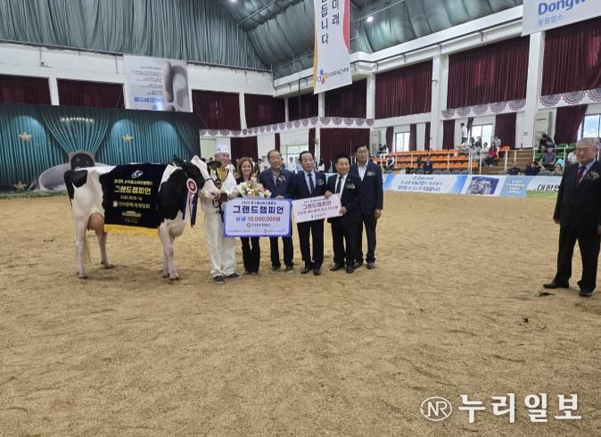 포천시 노곡목장, 2025 한국홀스타인품평회 그랜드챔피언·준그랜드챔피언 동시 수상