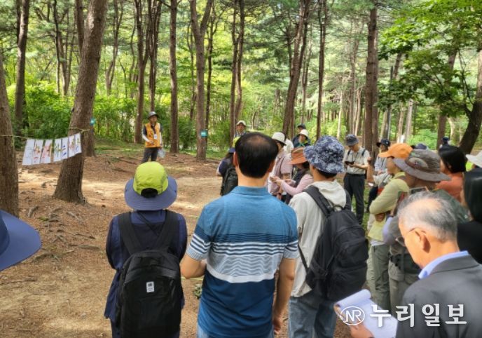 2024년 서울 양재시민의숲에 열린 숲해설 경연대회 모습