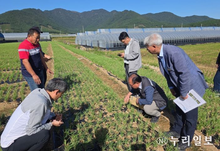 장흥 쪽파 피해현장 방문