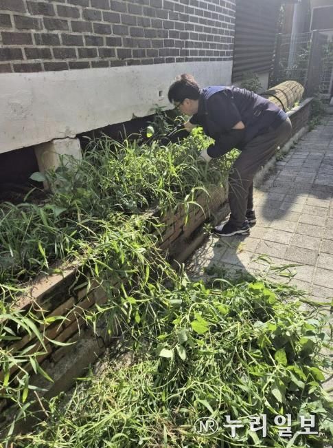 수원시 팔달구 행궁동 경기행복마을관리소, 손바닥정원 등 화단 정비 실시