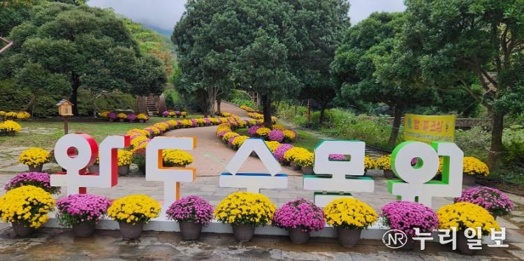 완도수목원 사진