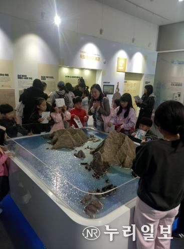 강원특별자치도교육청 2025 독도의날 행사‘독도에 퐁당’실시