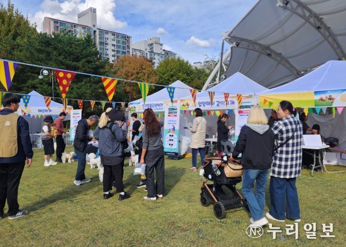 많은 시민이 참여한 가운데 반려견 미니운동회를 진행하고 있다.