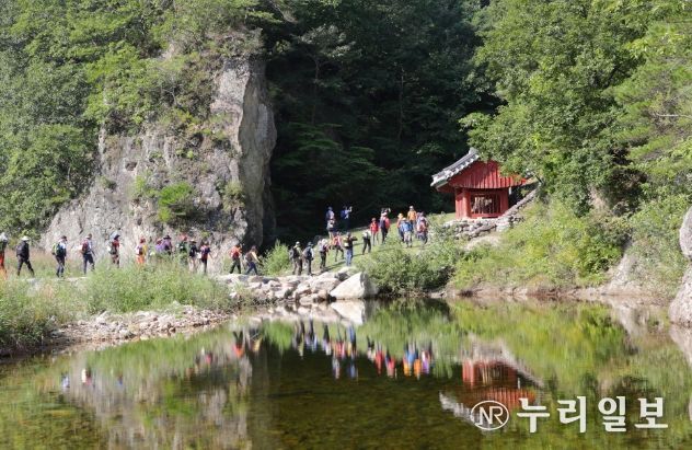등산 가이드와 함께하는 동서트레일 울진 구간(52~55구간)