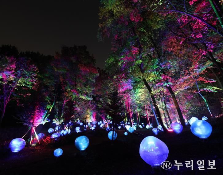 형형색색의 복사꽃 씨앗이 빛나는 도화씨 구간 전경