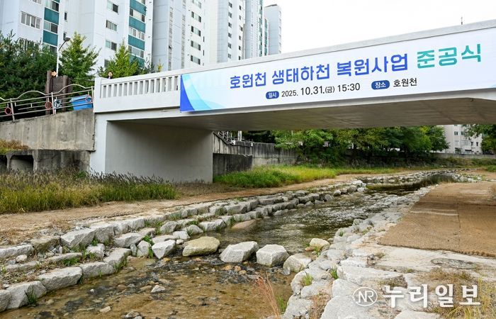 호원천 생태하천 복원사업 준공식 관련 사진.