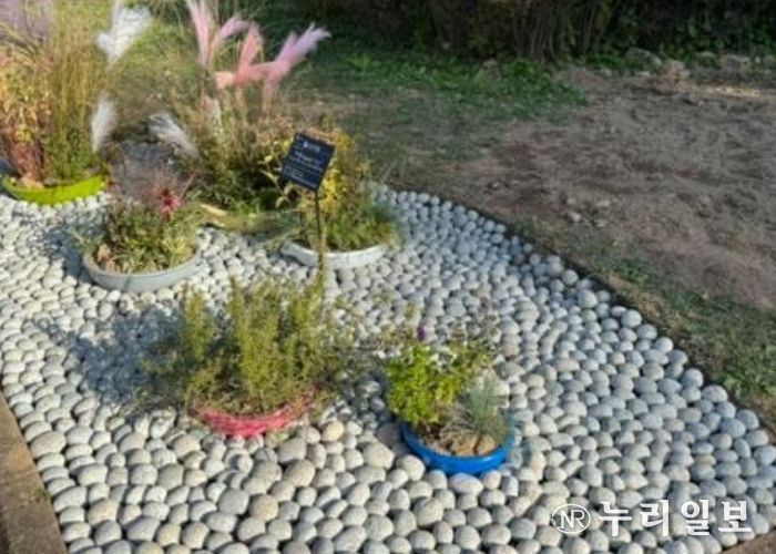 ‘완뚝원정대’의 ‘리플(ripple) 가든’