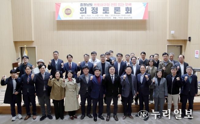 충청남도 프로야구장 건립 방안 모색