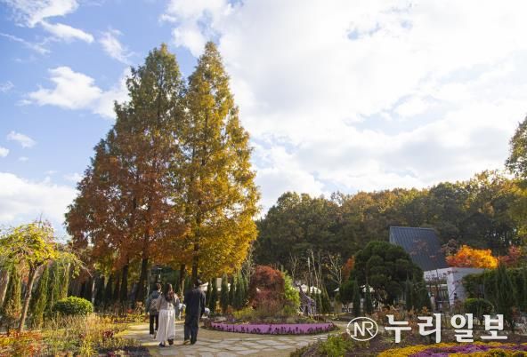 무릉도원수목원