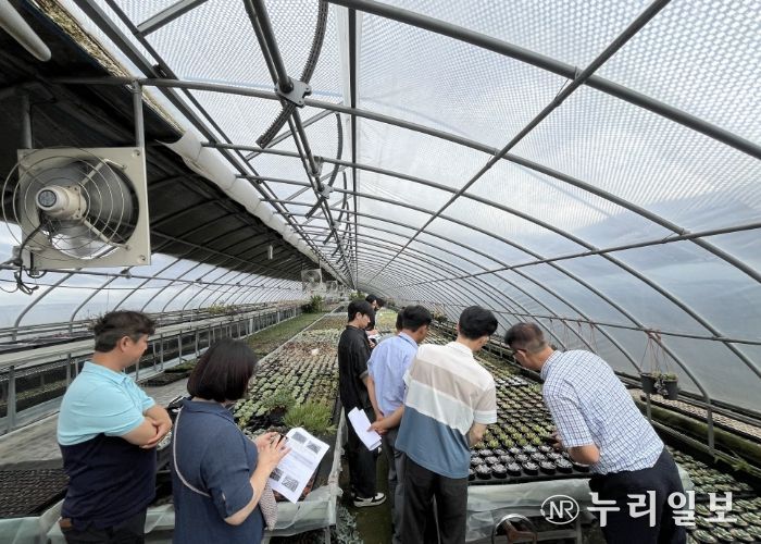 농업기술센터 실증온실에서 커피박과 우분을 혼합한 퇴비 시용 실험이 진행되고 있다.