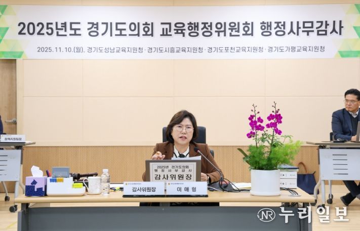 경기도의회 이애형 의원