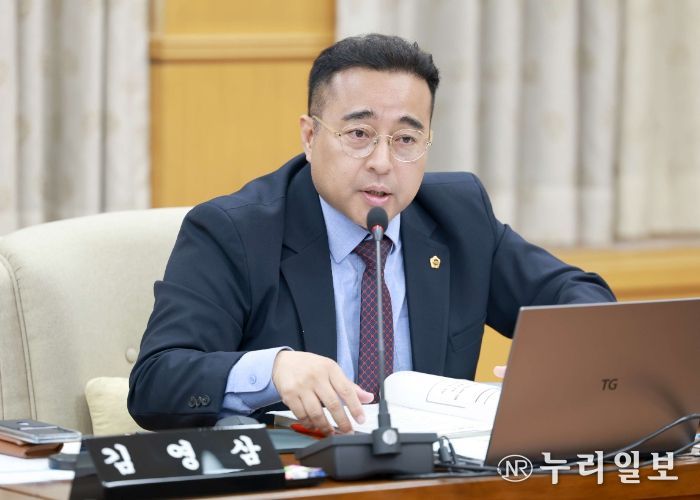 김영삼 대전시의원