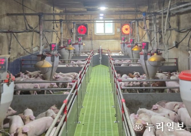 겨울철 축사화재 예방 대응체계 가동