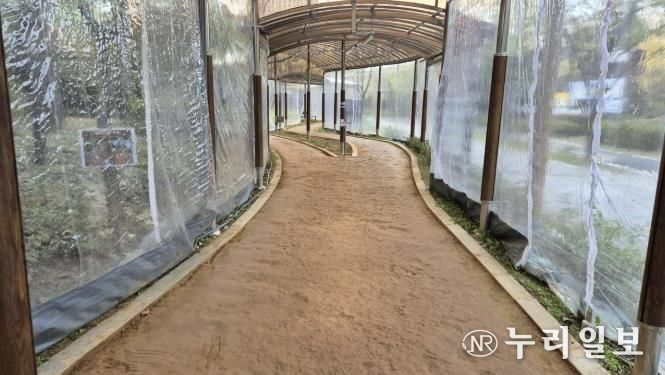 걷기 좋은 도시 하남, 겨울에도 따뜻한 ‘사계절 황톳길’로 건강 챙긴다