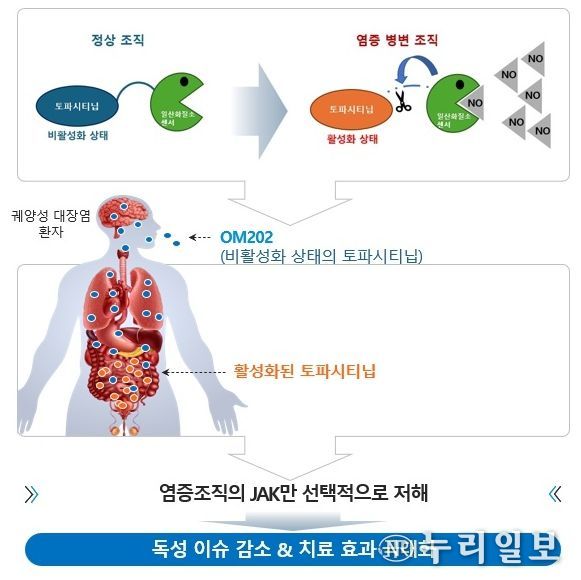K-MEDI hub, 궤양성 대장염 치료제 원스톱 개발 지원