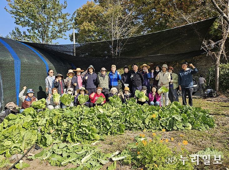 감자, 옥수수, 배추 등 다양한 작물 재배로 농심 체험