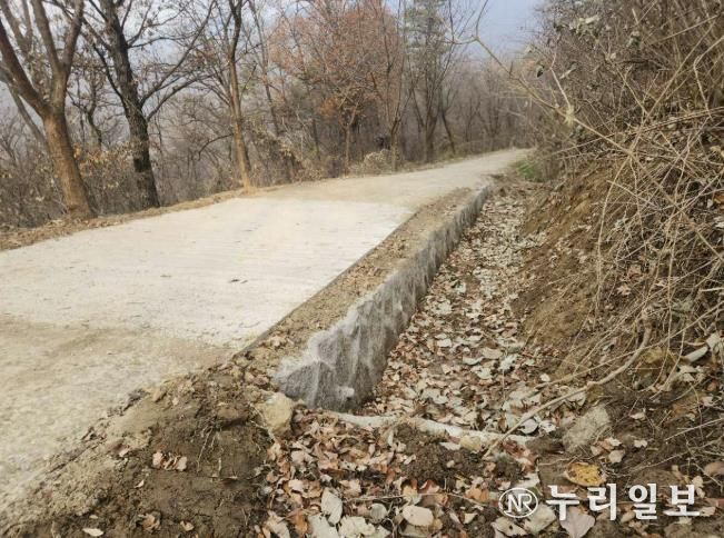 모현읍 왕산리 태교숲길 정비 완료 후 전경