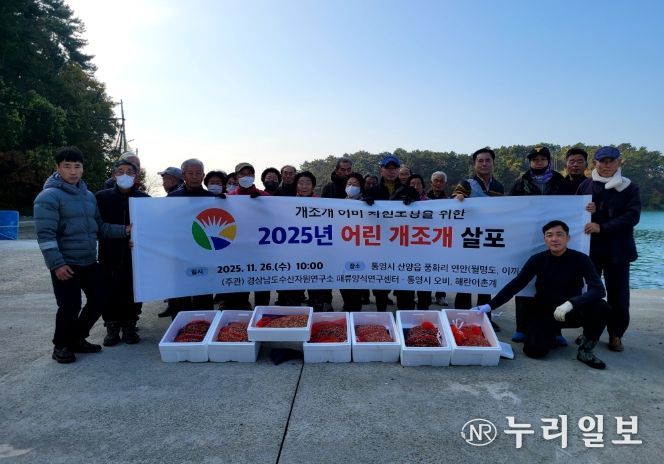 2025년 어린 개조개 살포