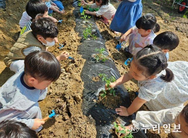 경북교육청, 김천 율빛유치원 방과후 과정 우수기관 선정...교육부장관상 수상