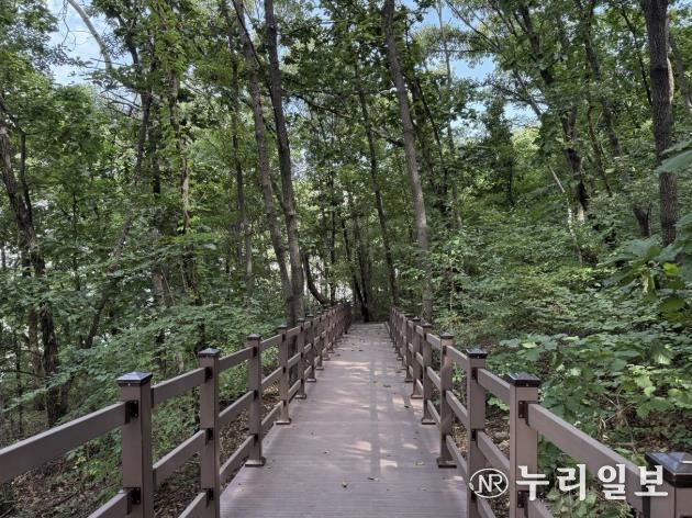 도심 속 쉼터 확대… 하남시 황산숲 데크로드 12월부터 시민 누구나 이용