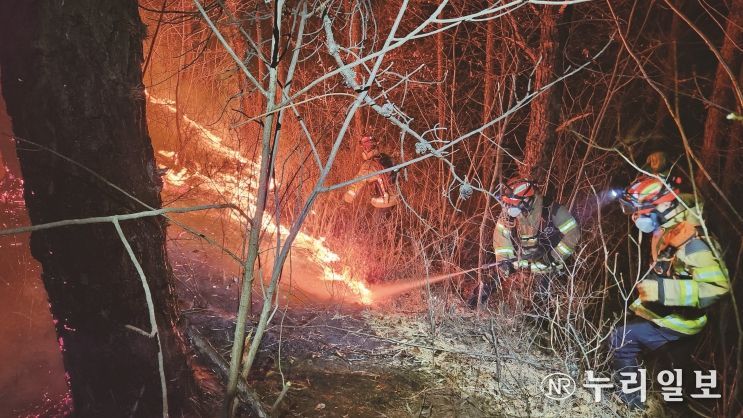 겨울철 건조한 날씨 지속, 산불예방 당부