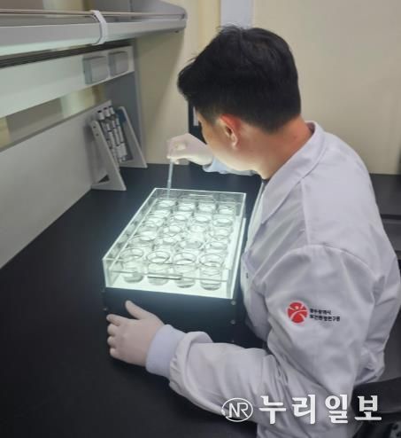 광주광역시 “주요 하천 수생태계 건강하다”