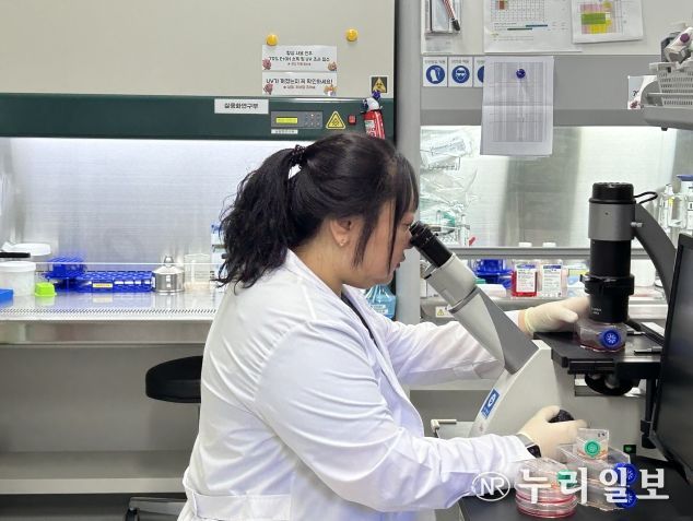 “상동나무, 탈모예방 특허로 k-뷰티 뒤흔들다” 섬연안 야생생물자원의 재발견