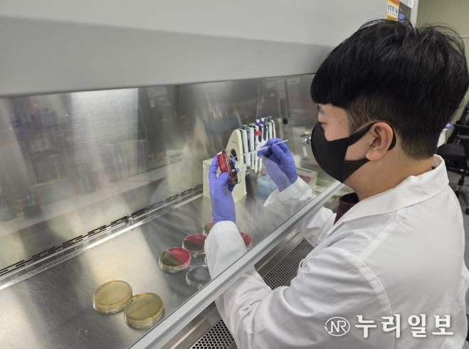 축산물 검사 사진