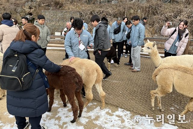 스포츠 투어상품 운영 현장